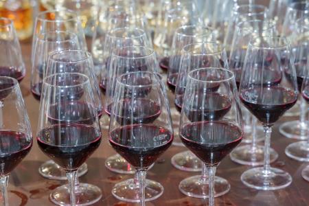 Festa del comune - 11.10.24-74